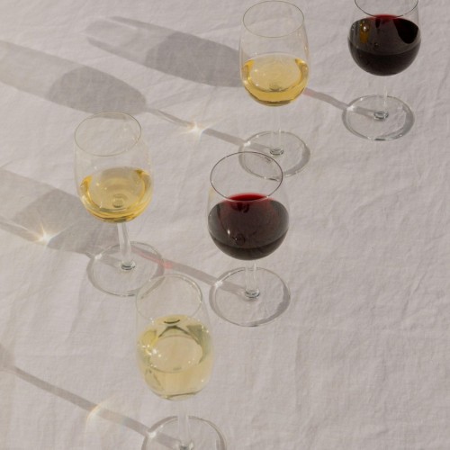 이딸라 Raami 화이트 와인잔 28cl Set of 2 161756 Iittala Raami White Wine Glass 28cl Set of 2 161756 13755