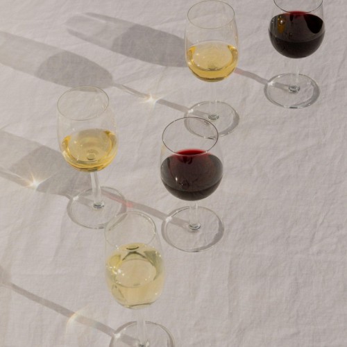 이딸라 Raami Red 와인잔 28cl Set of 2 161746 Iittala Raami Red Wine Glass 28cl Set of 2 161746 13754