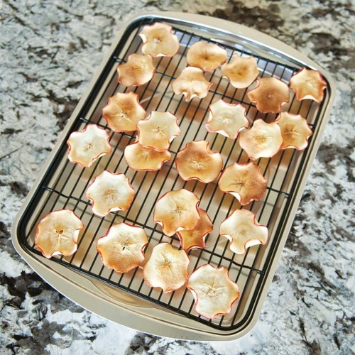 노르딕 웨어 Oven Crisp Baking 트레이 With Grid Nordic Ware Oven Crisp Baking Tray With Grid 05759