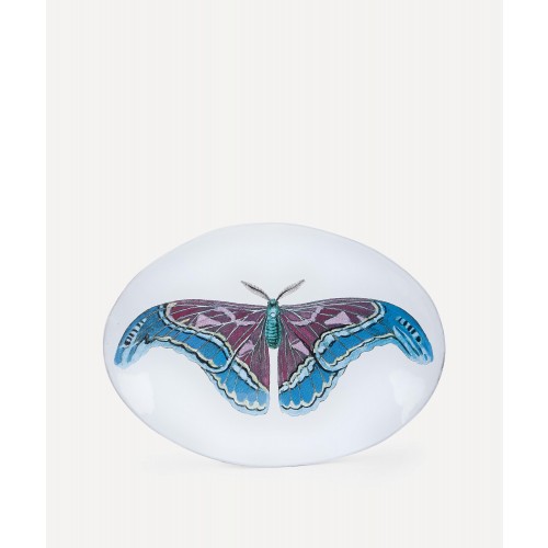아스티에 드 빌라트 버터플라이 오발 플래터 Astier de Villatte Butterfly Oval Platter 00786