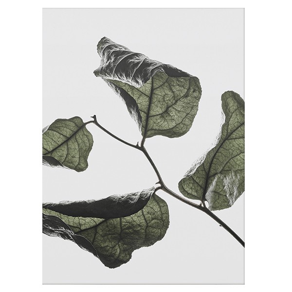PAPER COLLECTIVE 페이퍼콜렉티브 Floating Leaves 03 PC08119