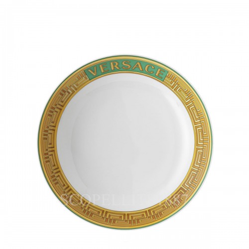 베르사체 파스타접시 메두사 Amplified 그린 Coin Versace Soup Plate Medusa Amplified Green Coin 02415