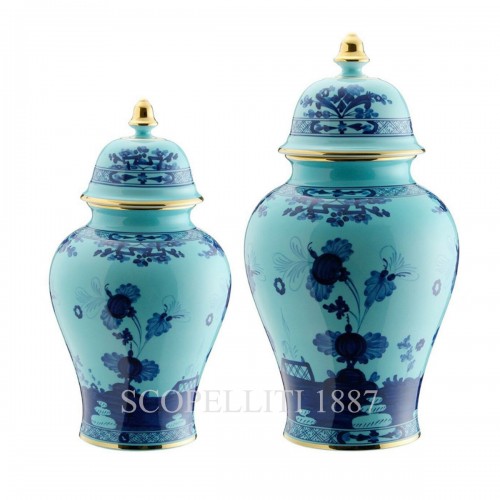 GINORI 1735 Potiche Small 화병 꽃병 With 커버 오리엔트E Italiano Iris Ginori 1735 Potiche Small Vase With Cover Oriente Italiano Iris 01462