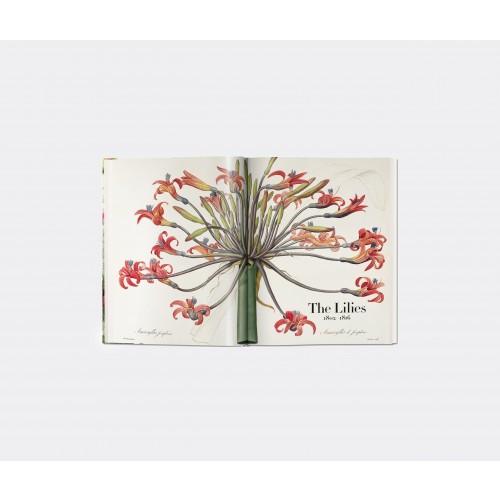 타셴 Redoute. The Book of 플라워S XL Taschen Redoute. The Book of Flowers XL 00450