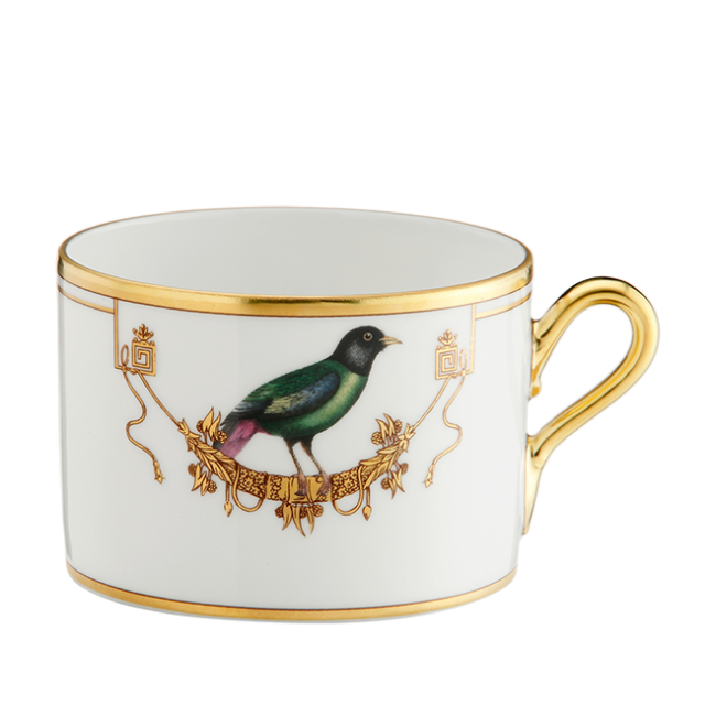 지노리 1735 Tea cup Voliere La Breve Ginori 00442