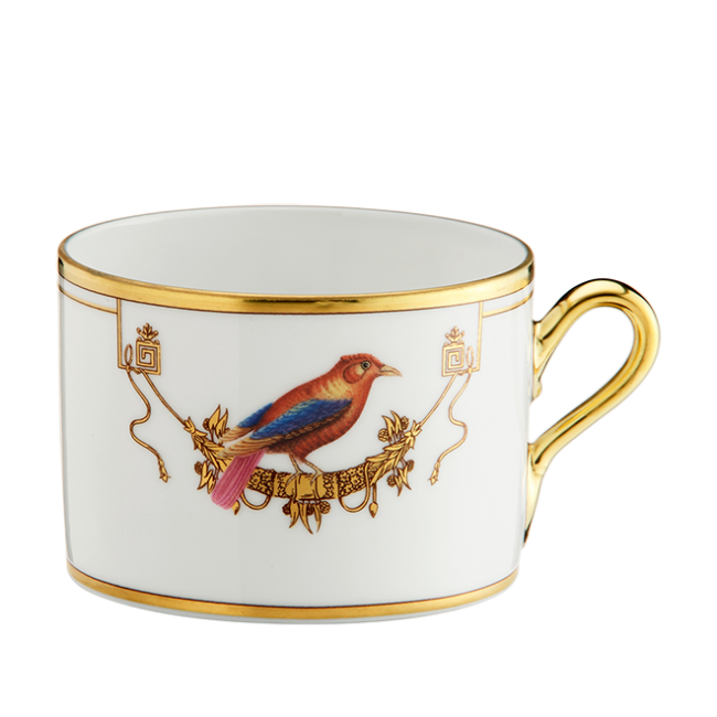 지노리 1735 Tea cup Voliere Tangara Du Canada Ginori 00441
