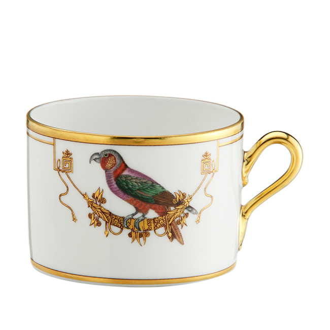 지노리 1735 Tea cup Voliere Perroquet Nestor Ginori 00438