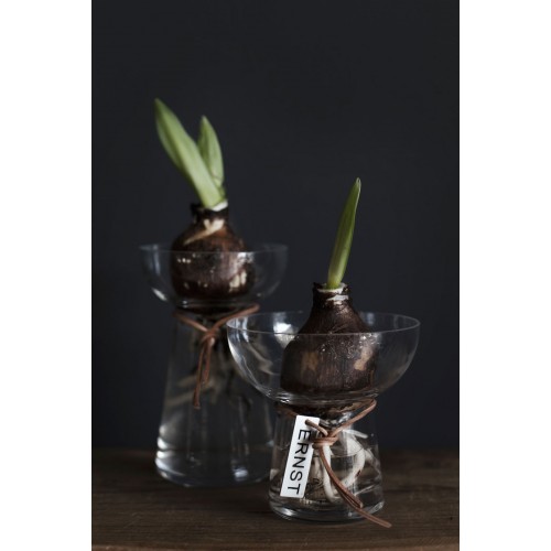 에른스트 화병 꽃병 Bulb 15 cm ERNST Vase Bulb  15 cm 07416
