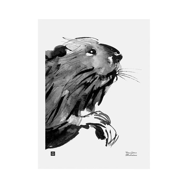 TE이엠유 Järvi Illustrations Curious beaver poster 30 x 40 cm 23727