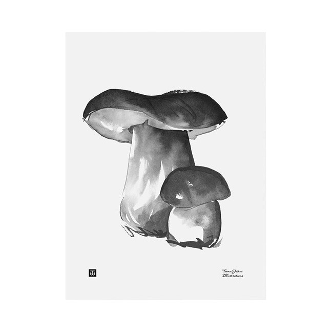 TE이엠유 Järvi Illustrations Porcini poster 30 x 40 cm 23721