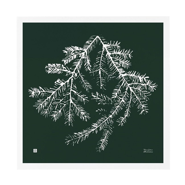 TE이엠유 Järvi Illustrations Spruce 브랜치 poster 50 x cm 포레스트 그린 23714