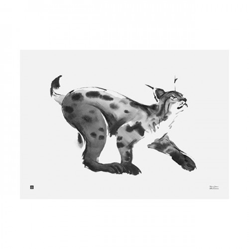 TE이엠유 Järvi Illustrations Lynx poster 70 x 50 cm 23712