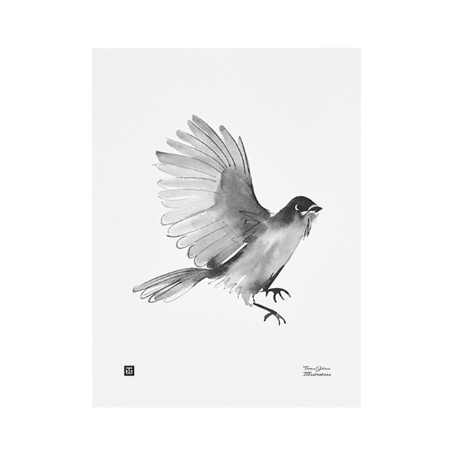 TE이엠유 Järvi Illustrations Siberian Jay poster 30 x 40 cm 23709