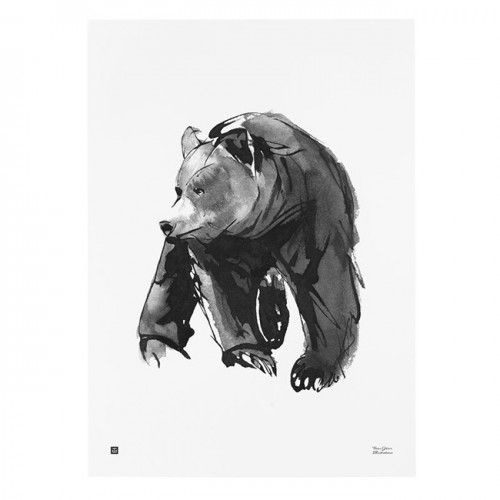TE이엠유 Järvi Illustrations Gentle Bear poster 50 x 70 cm 23704