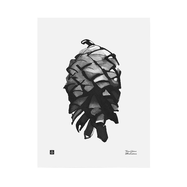 TE이엠유 Järvi Illustrations Pine Cone poster 30 x 40 cm 23701