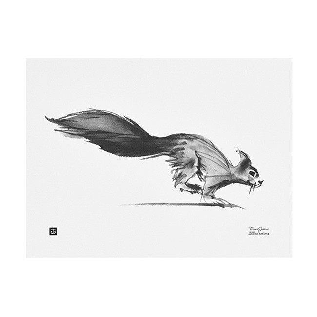 TE이엠유 Järvi Illustrations Squirrel poster 40 x 30 cm 23700
