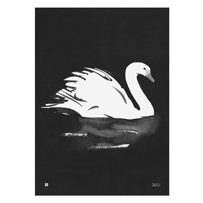 TE이엠유 Järvi Illustrations Swan poster 50 x 70 cm 23697
