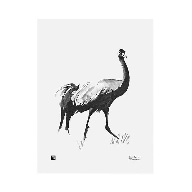 TE이엠유 Järvi Illustrations Common Crane poster 30 x 40 cm 23696