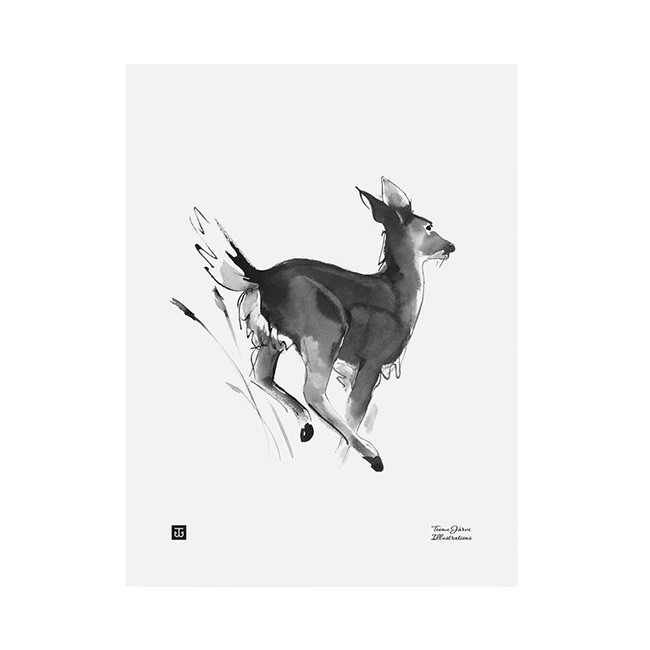 TE이엠유 Järvi Illustrations 화이트-TAILED Deer poster 30 x 40 cm 23693