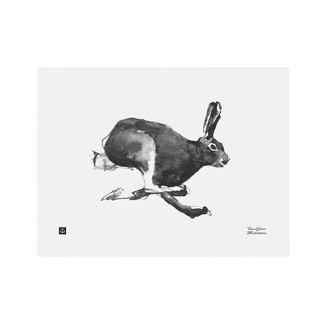 TE이엠유 Järvi Illustrations Hare poster 40 x 30 cm 23687