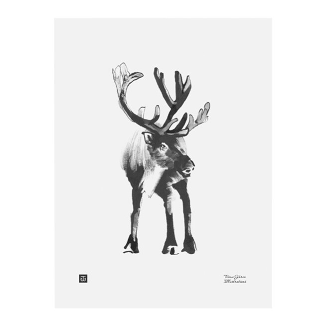 TE이엠유 Järvi Illustrations Reindeer poster 30 x 40 cm 23678