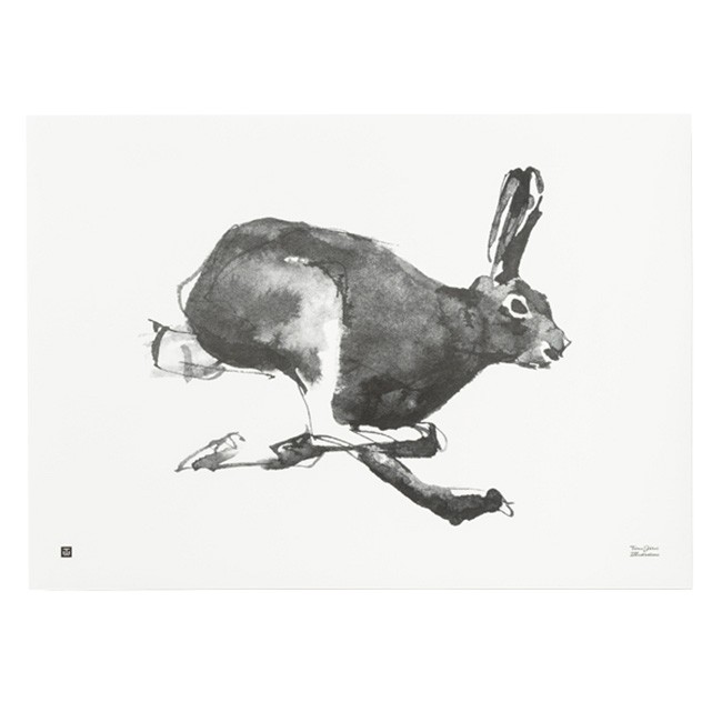 TE이엠유 Järvi Illustrations Hare poster 70 x 50 cm 23670